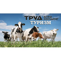 Экскурсия "От поля до...