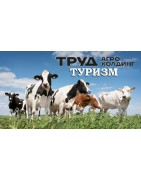Промышленный туризм